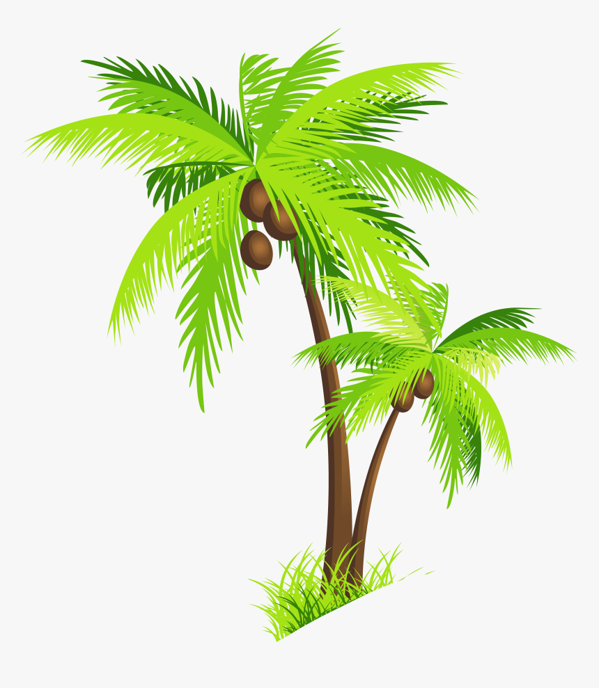 Transparent Background Coconut Tree Clipart, HD Png Download, Free Download
