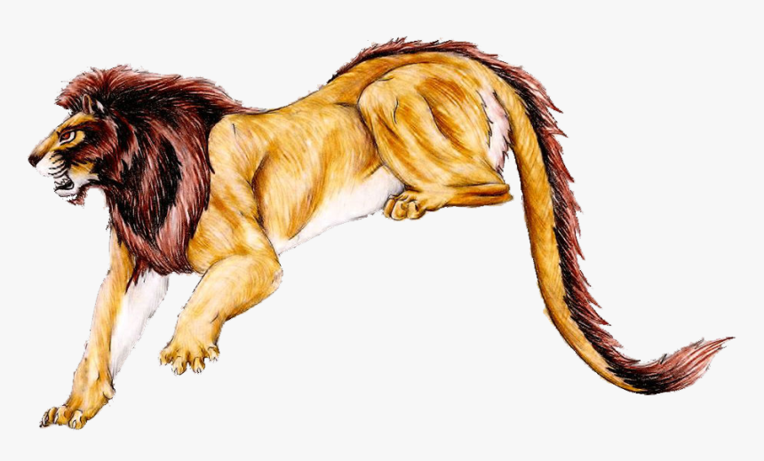 Transparent Plankton Clipart - Masai Lion, HD Png Download, Free Download