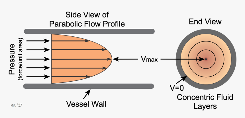 Laminar Flow - Laminar Flow Blood Vessel, HD Png Download, Free Download