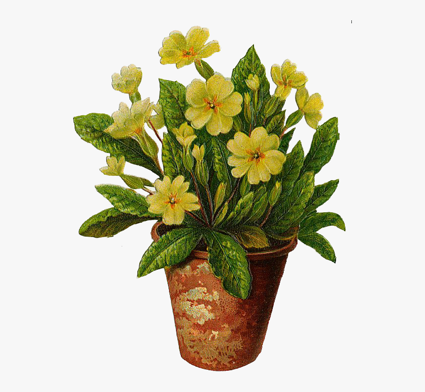 Flower Pot Clipart - Transparent Background Flower Pot Png, Png Download, Free Download