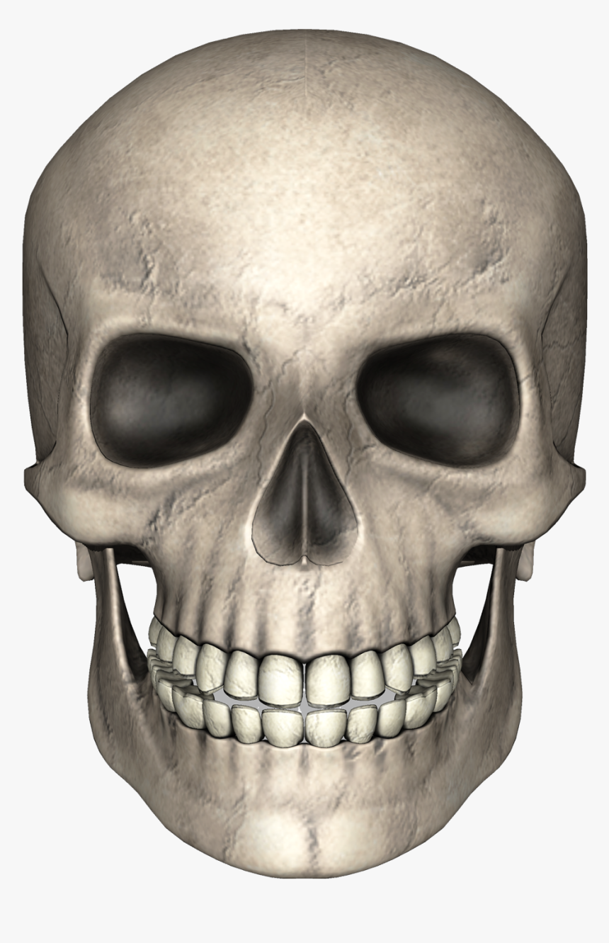 Skull Png, Transparent Png, Free Download