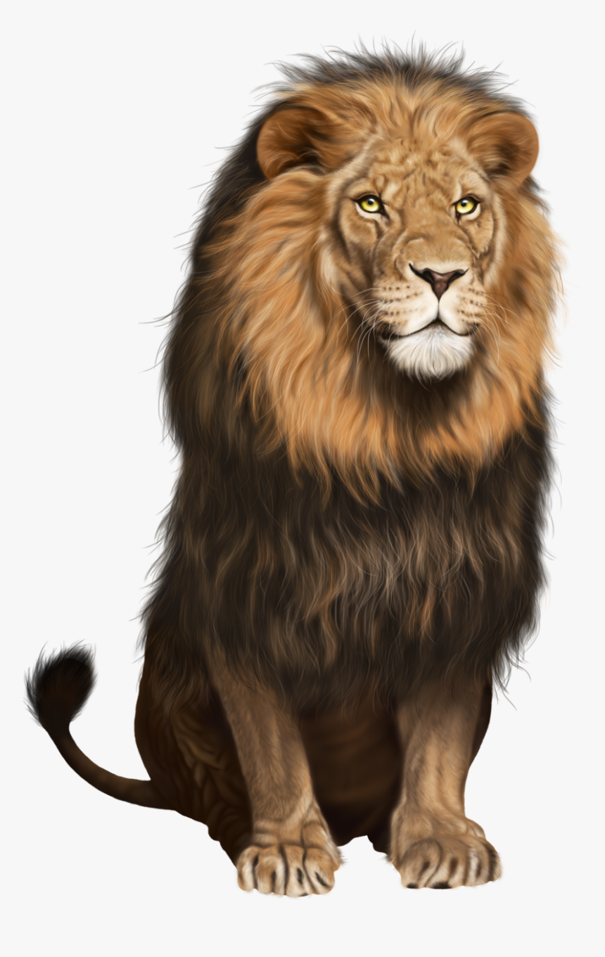 Lion Png Hd, Transparent Png, Free Download