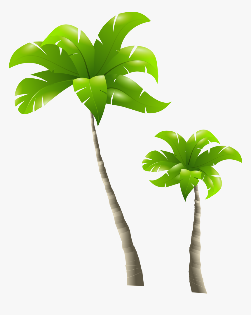 Palm Tree Png Clipart - Tall Tree And Short Tree, Transparent Png, Free Download