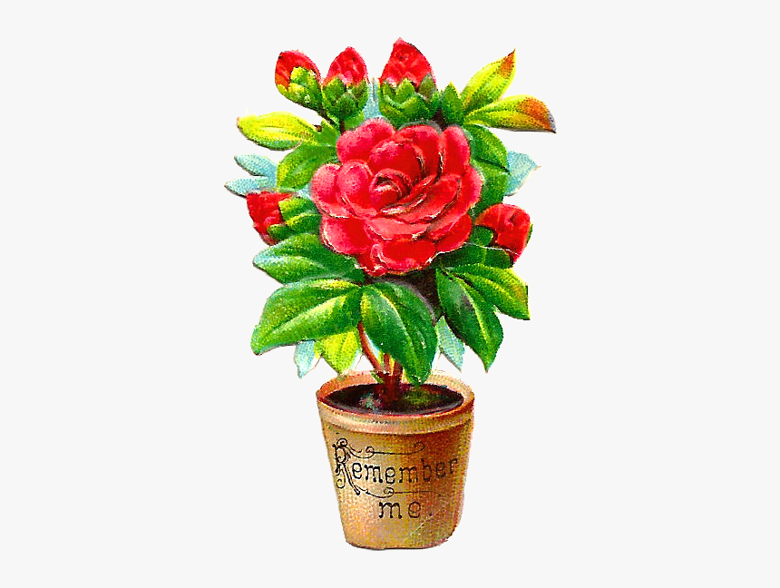 Free Flower Clip Art - Png Flowers Pots Hd, Transparent Png, Free Download