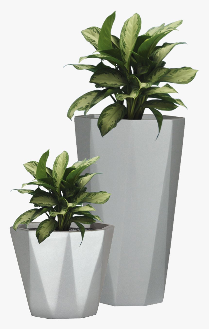 Plant In Pot Png, Transparent Png, Free Download