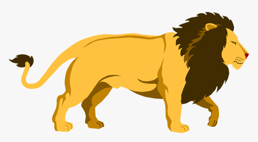 Transparent Background Lion Clipart, HD Png Download, Free Download