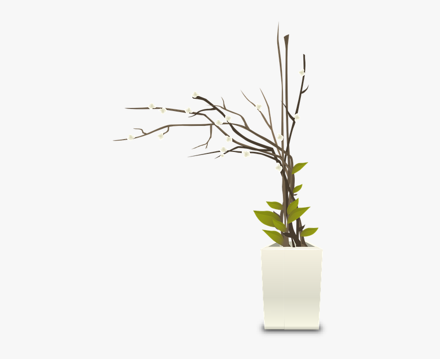 Plants, Pots, White, Houseplants, Indoors, Interior - Flower Pot Pot Png Plant, Transparent Png, Free Download