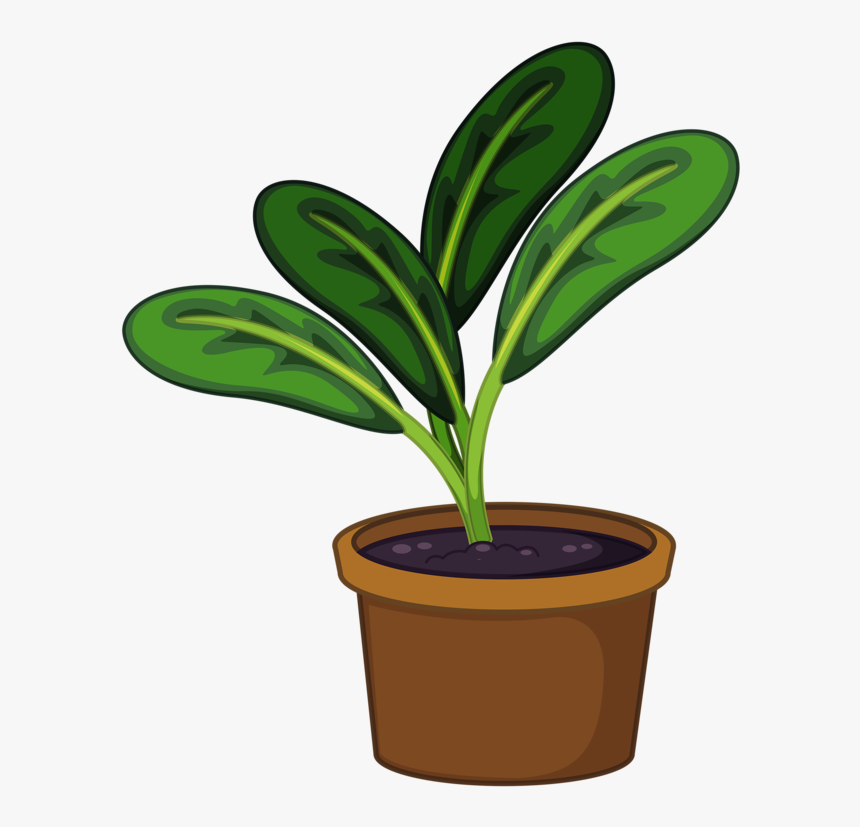 Pot Plant Clipart Transparent - Pot Plant Png Clipart, Png Download, Free Download