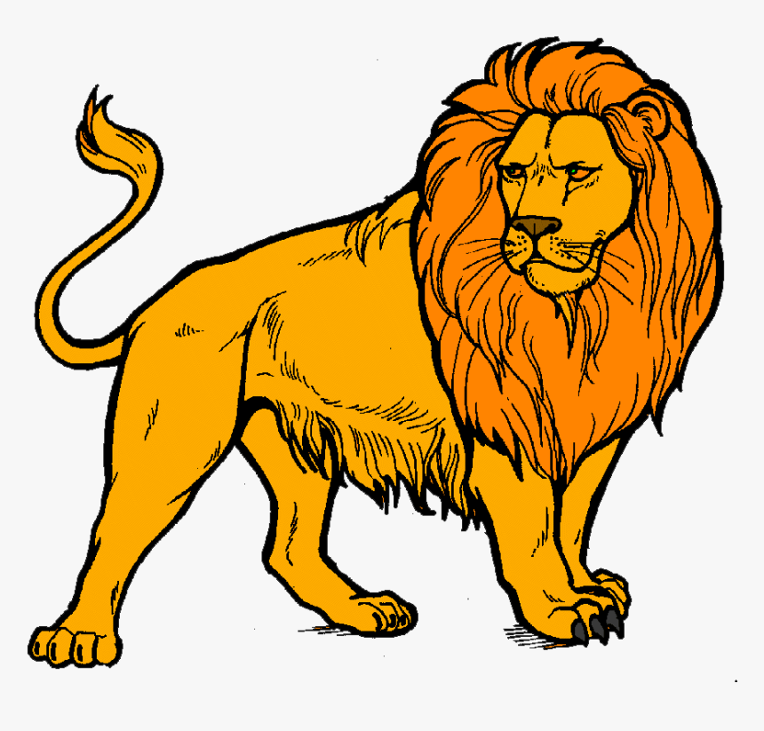 Transparent Background Lion Clipart, HD Png Download, Free Download