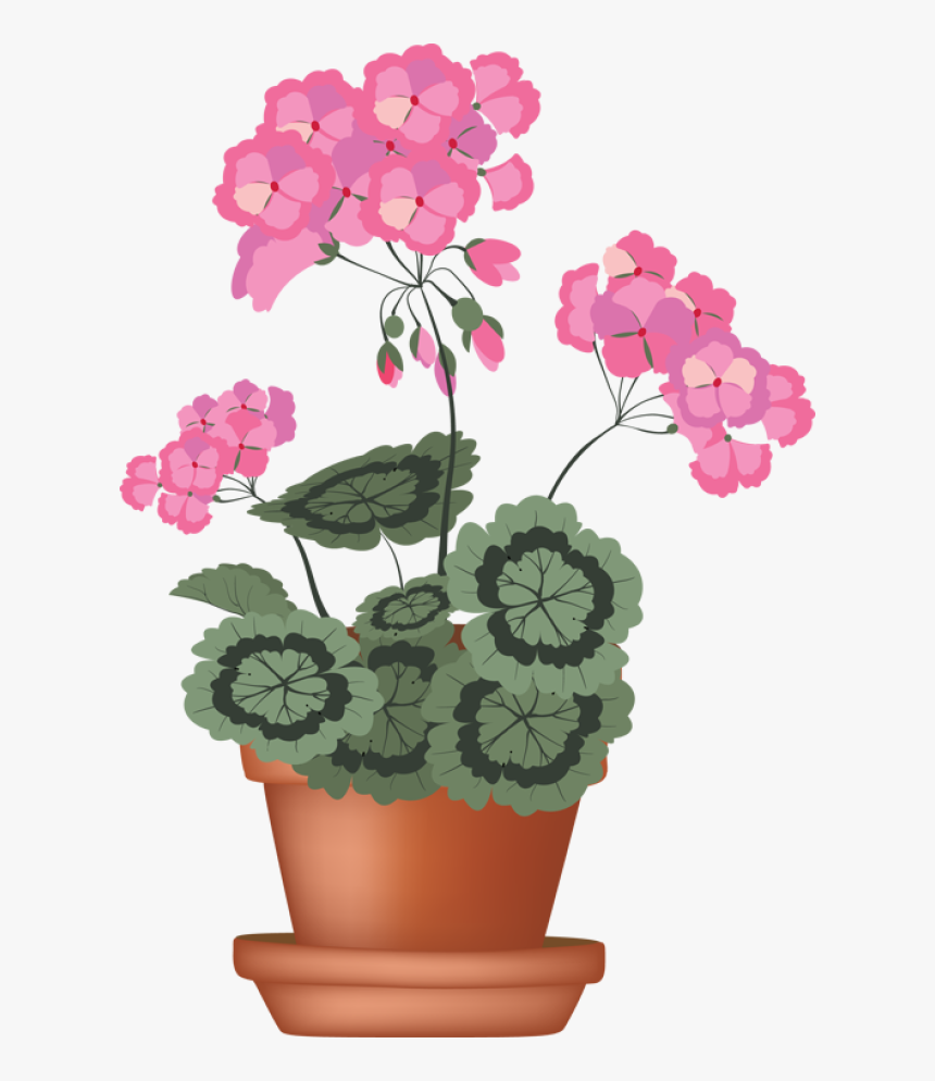 Clip Art Of A Geranium In A Flower Pot - Pot Of Geraniums Clipart, HD Png Download, Free Download