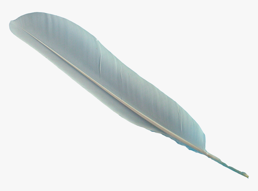 Feather Png Image With Transparent Background - Transparent Background Feather Clipart, Png Download, Free Download