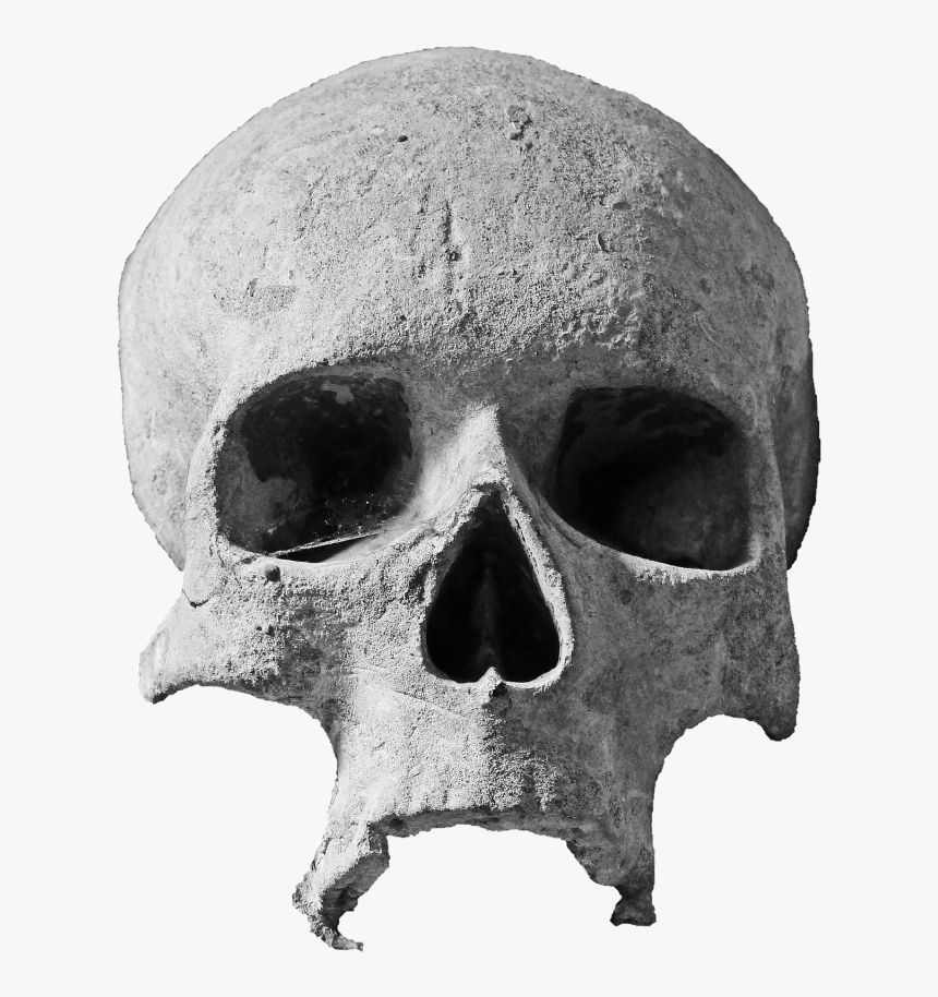 Grunge Skull Png - Skull Grunge Png, Transparent Png, Free Download