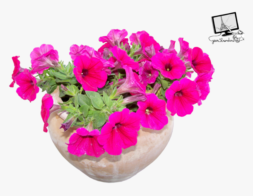 2 Photo, Flowers In Pots - Portable Network Graphics, HD Png Download, Free Download