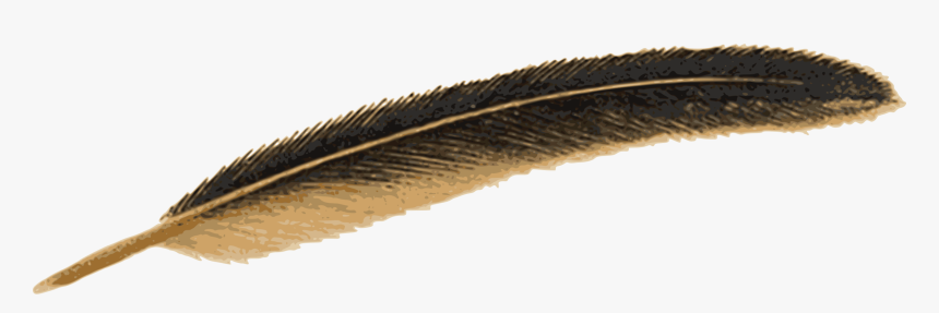 Download Feather Png Image - Old Feather Pen Png, Transparent Png, Free Download