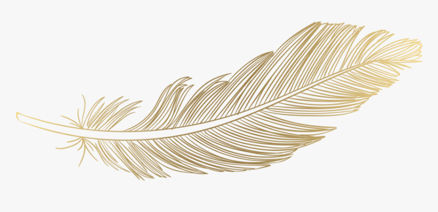 Feather Png Download Image - Gold Transparent Feather Png, Png Download, Free Download