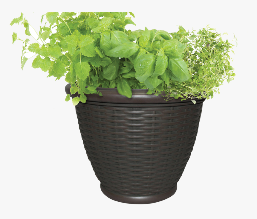 Full-planter - Outdoor Flower Pot Png, Transparent Png, Free Download