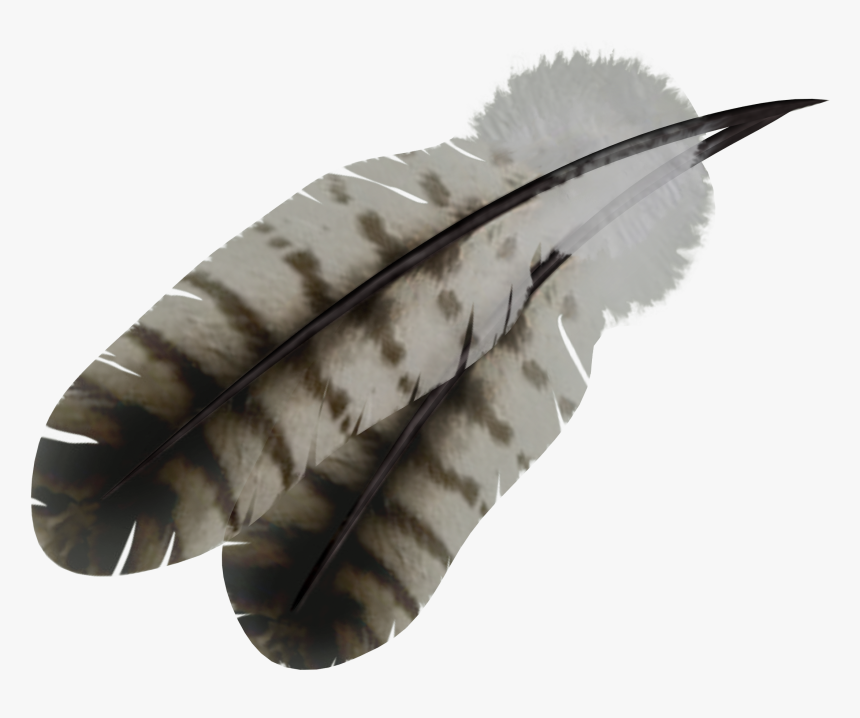 Native American Feather Png, Transparent Png, Free Download