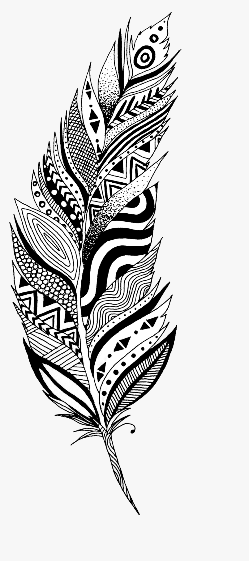 Feather Png Transparent Image - Black And White Feather Png, Png Download, Free Download