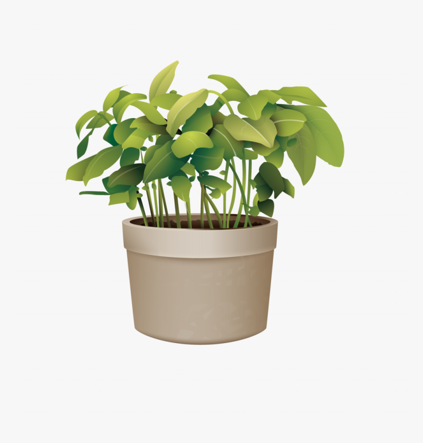 Pictures Of Potted Plants Best Of Flowerpot Plant Vector - Plant In Pot Png, Transparent Png, Free Download