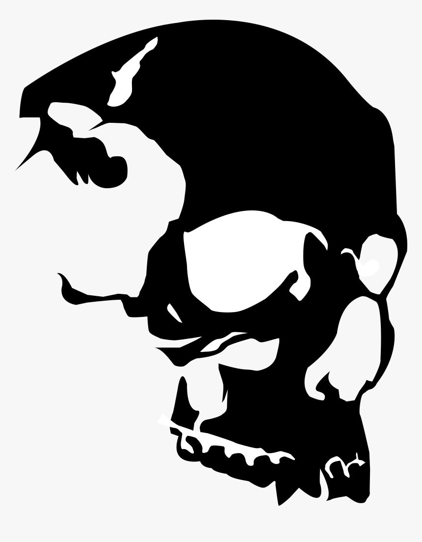 Skull Vector Art - Skull Art Png Vector, Transparent Png, Free Download