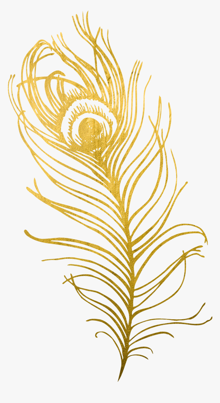 Gold Peacock Feather Png , Transparent Cartoons - Gold Peacock Feather Clipart, Png Download, Free Download