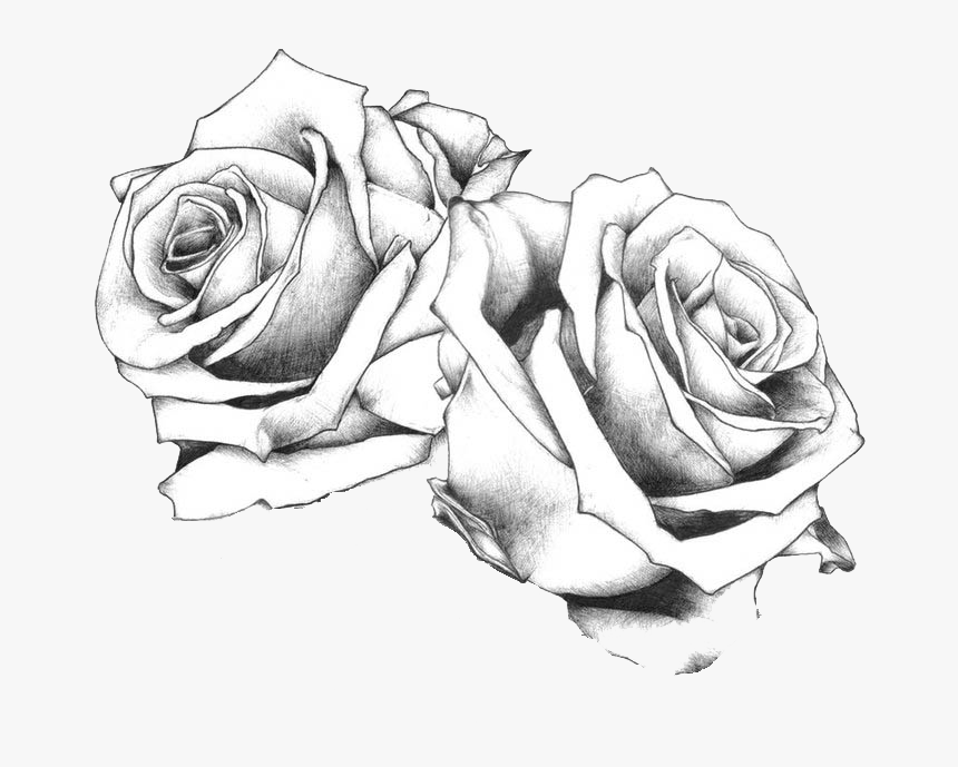 Transparent Tattoo Flash Png - Rose Drawings Side View, Png Download, Free Download