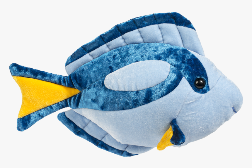 Blue Tang Png, Transparent Png, Free Download