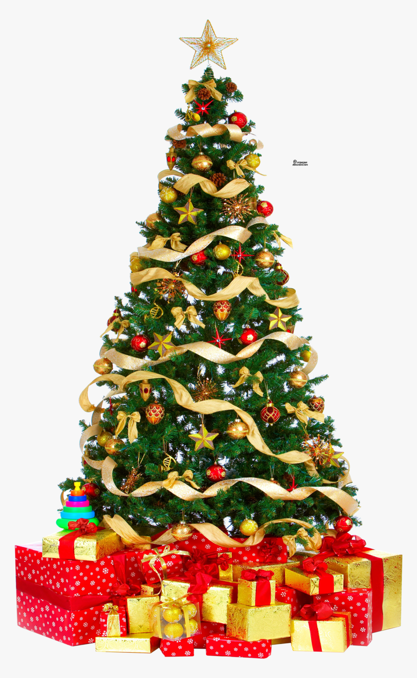 Christmas Tree Png Free Download, Transparent Png, Free Download