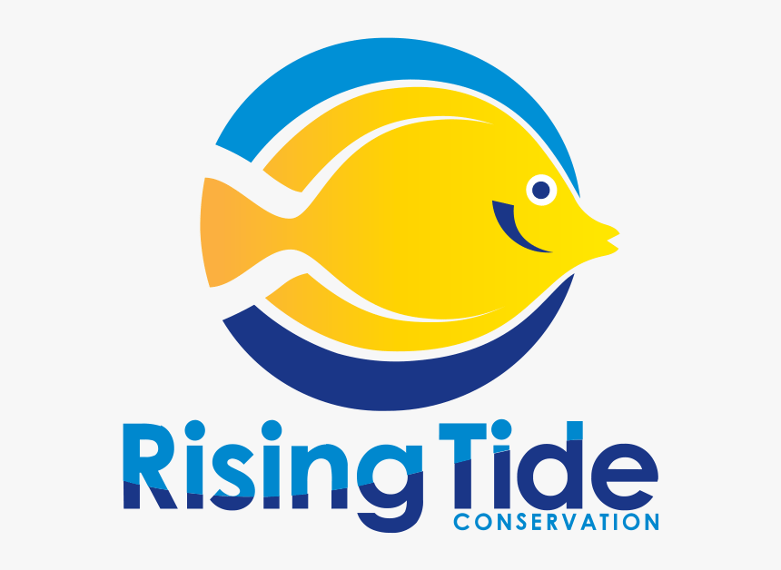 Rising Tide Conservation Logo, HD Png Download, Free Download