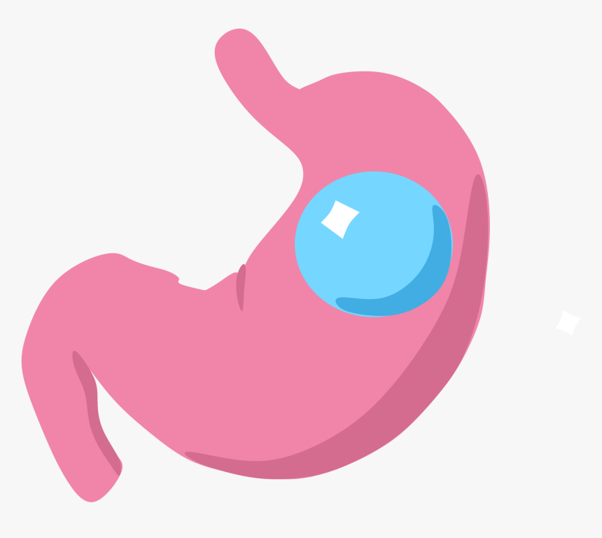 Gastric Band Icon, HD Png Download, Free Download