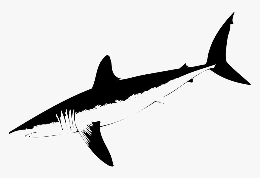 Shark - Billfish, HD Png Download, Free Download