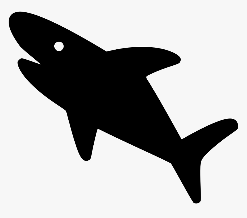 Shark - Pergamino De Graduacion Vector, HD Png Download, Free Download