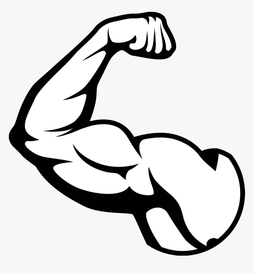 Muscle Arm Png Picture Muscles Clipart Black And- - Muscle Png, Transparent...