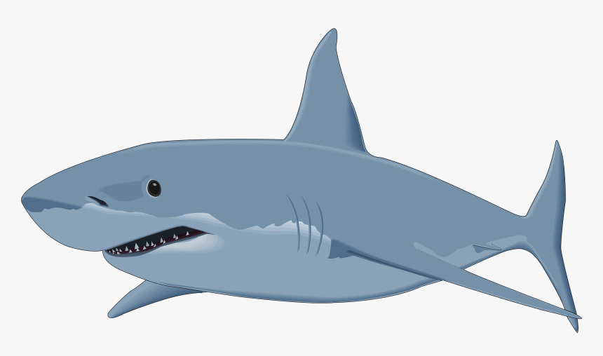 Grab And Download Sharks Png Picture - Great White Shark Clipart Png, Transparent Png, Free Download