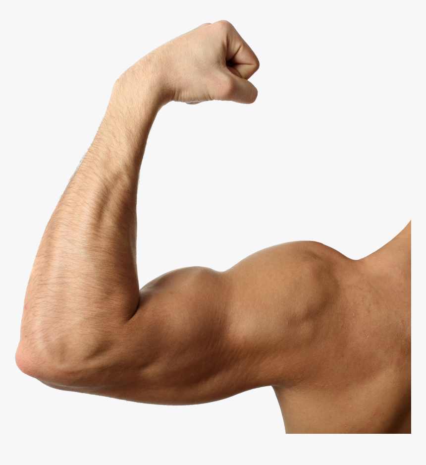 Muscular Arm Png - Muscular Arm Transparent Background, Png Download, Free Download