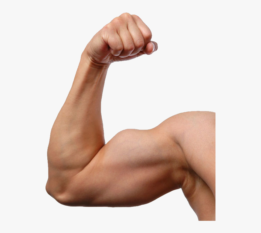 Png Image Purepng Free Cc Library Man Arm - Transparent Background Muscle Arms Transparent, Png Download, Free Download