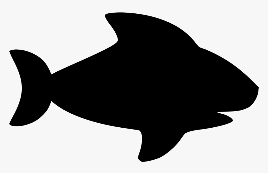Shark - Fish Vector Png, Transparent Png, Free Download