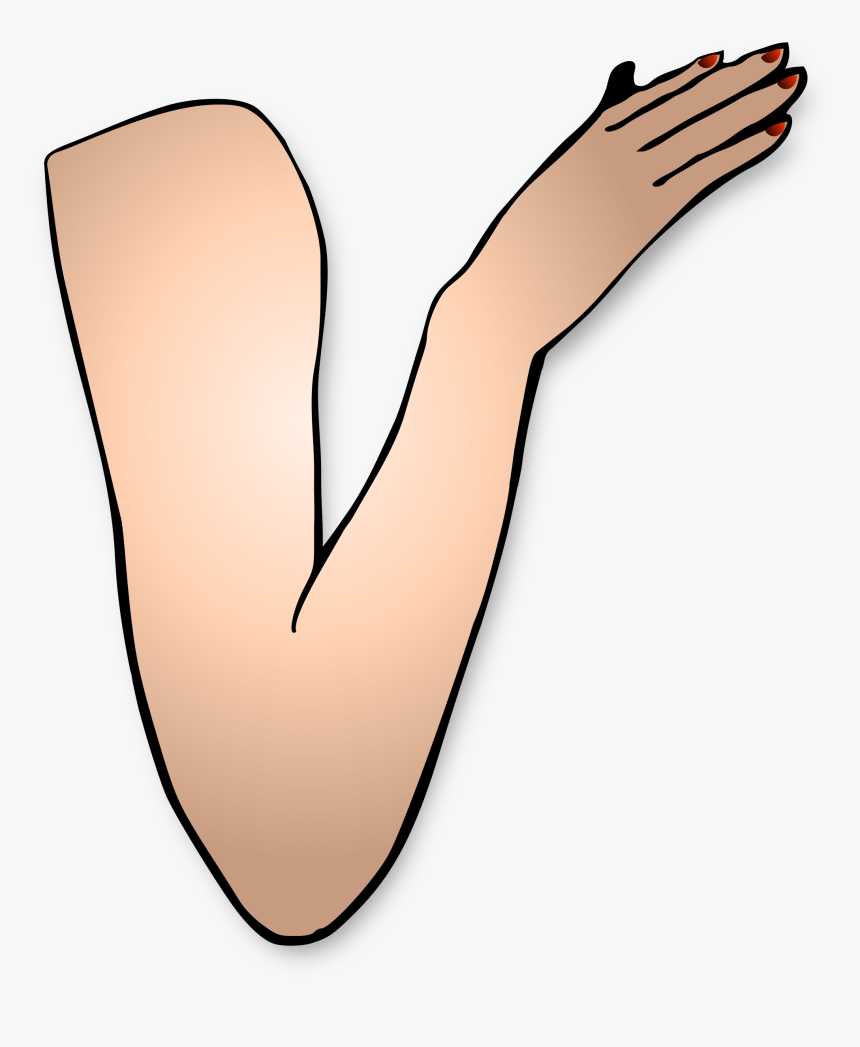 Flexing Arm Png - Girl Arm Clipart, Transparent Png, Free Download