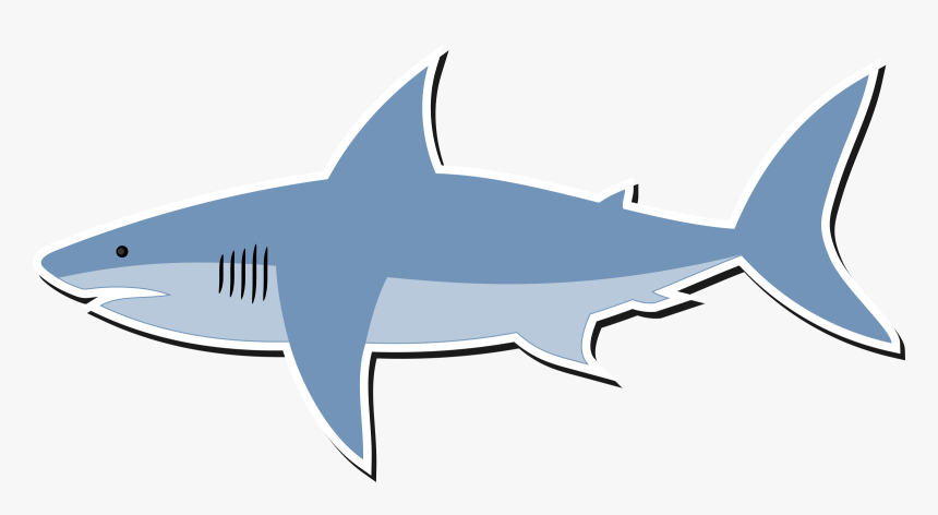 Cartoon Shark - Cartoon Image Of Shark, HD Png Download, Free Download