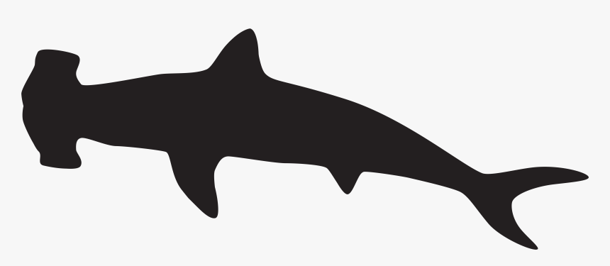 Hammerhead Shark Silhouette Scalloped Hammerhead Clip - Hammerhead Shark Clip Art, HD Png Download, Free Download