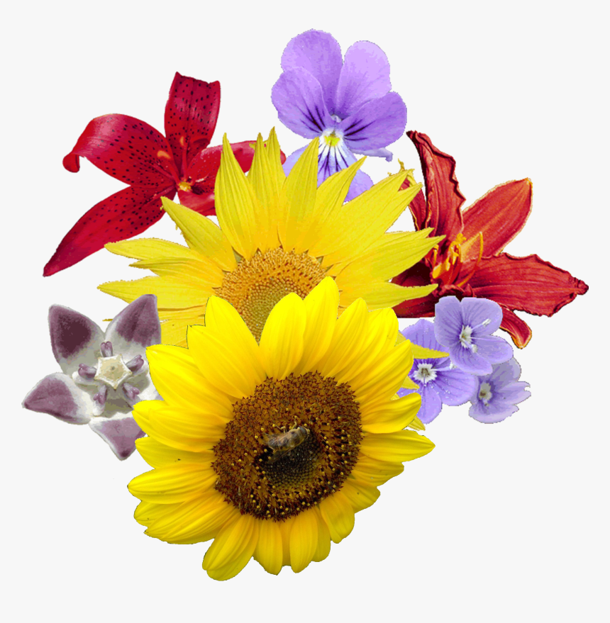 Bouquet Flowers Png - Flower Theme Kitty Party Games, Transparent Png, Free Download