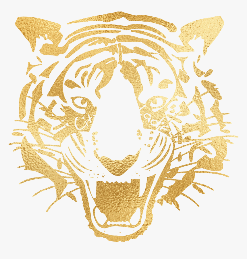 Hull City Ladies Football Club, HD Png Download, Free Download