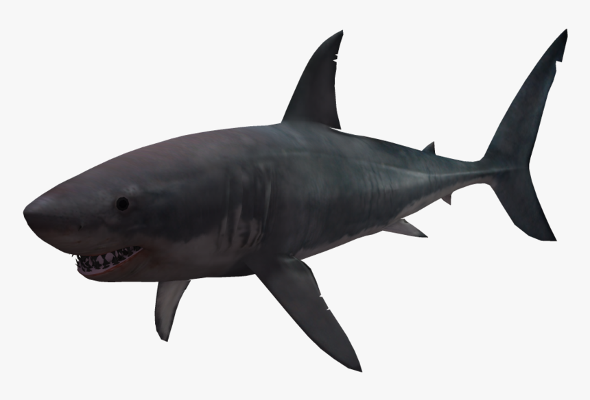Now You Can Download Sharks Icon - Great White Shark Silhouette, HD Png Download, Free Download