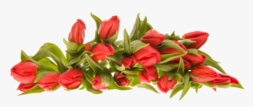 Bouquet Flowers Png - Bouquet Flower Images Png, Transparent Png, Free Download