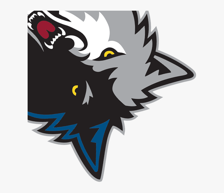 Minnesota Timberwolves, HD Png Download, Free Download