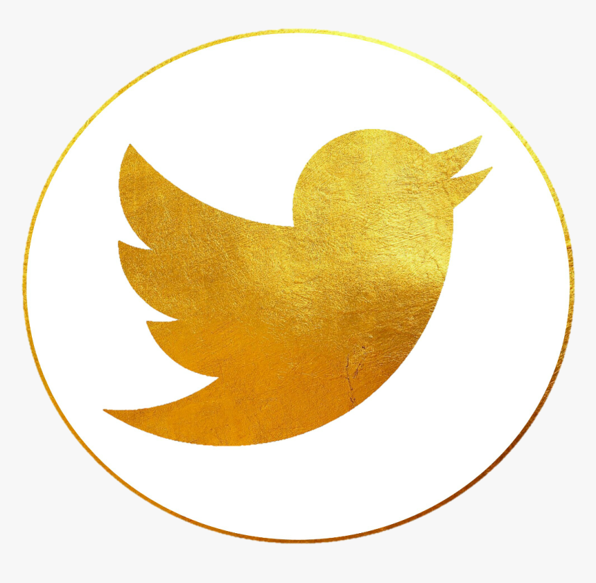 #twittericon #twitter #icon #gold - Vector Transparent Twitter Icon, HD Png Download, Free Download