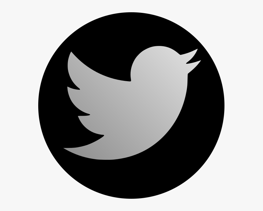 Transparent White Twitter Icon Png - Logo Twitter Png Transparent, Png Download, Free Download