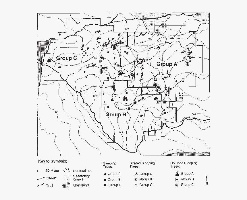 Transparent Group Of Trees Png - Map, Png Download, Free Download