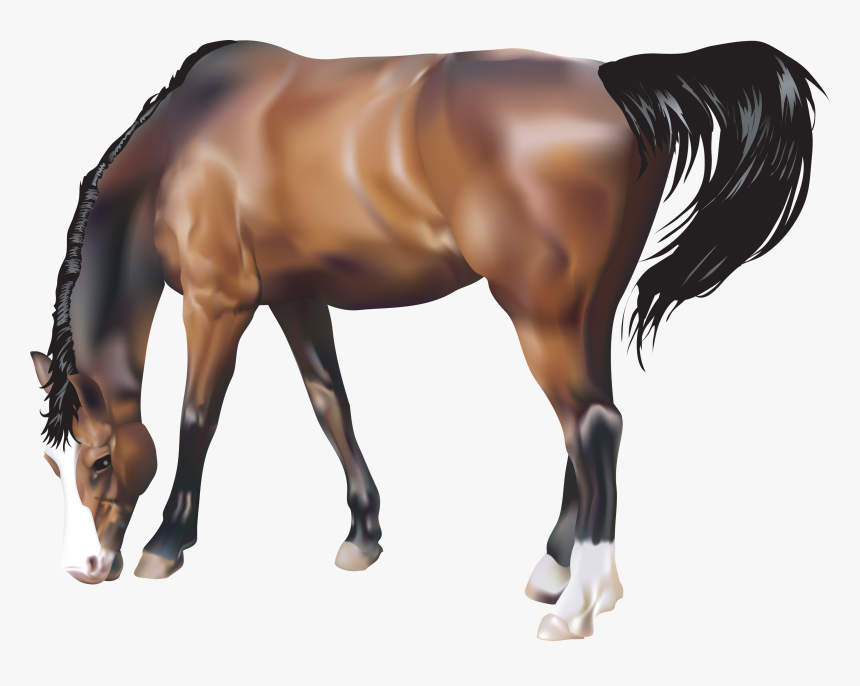 Download Horse Transparent Png - Horse Png, Png Download, Free Download