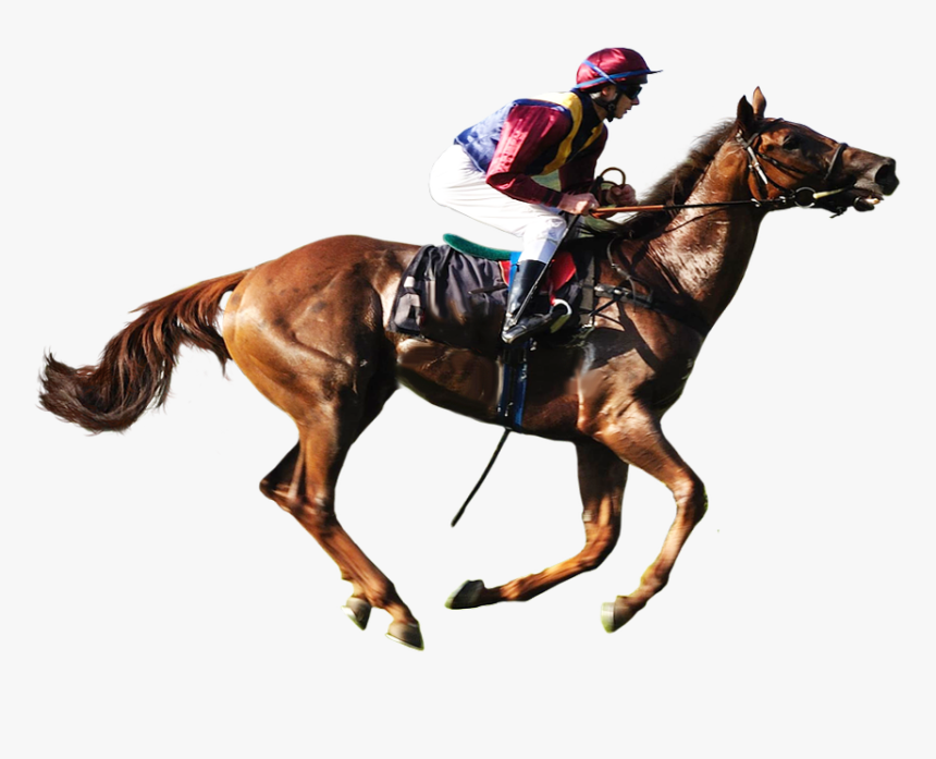 Horse Racing Transparent Background, HD Png Download, Free Download